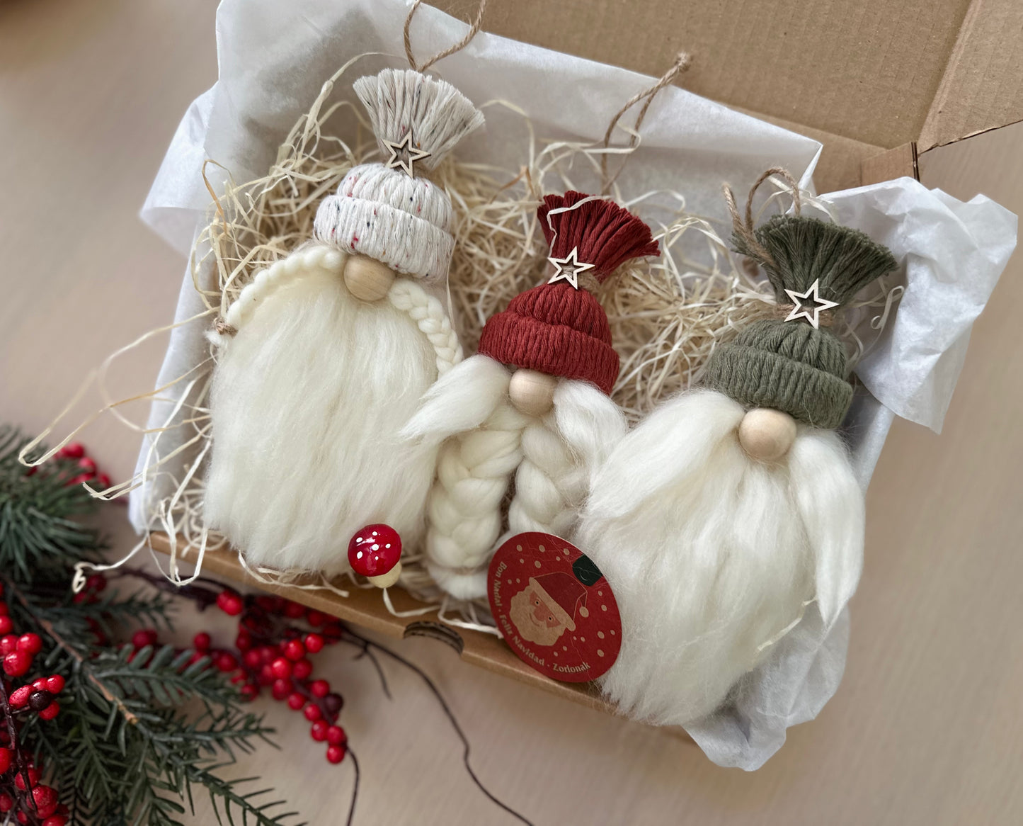 pack de gnomos navideños